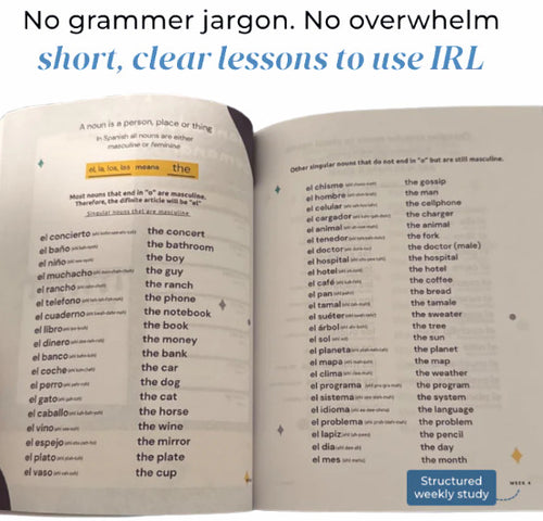 Spanish in 60 days Learning Workbook